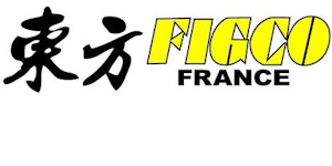 https://www.figco.fr/